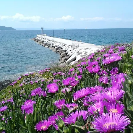 In Bb - Welcome To Petunia, In Neos-marmaras,xalkidiki ,greece, Double 7 * Néos Marmarás