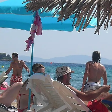 In Bb - Welcome To Petunia, In Neos-marmaras,xalkidiki ,greece, Double 7